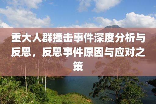 重大人群撞击事件深度分析与反思，反思事件原因与应对之策