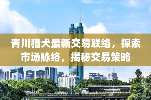 青川猎犬最新交易联络，探索市场脉络，揭秘交易策略
