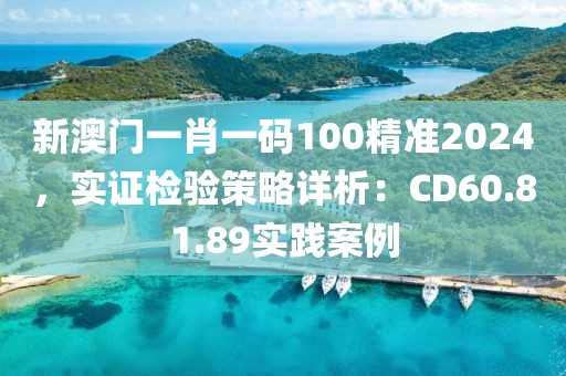 新澳门一肖一码100精准2024，实证检验策略详析：CD60.81.89实践案例