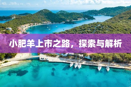 小肥羊上市之路，探索与解析