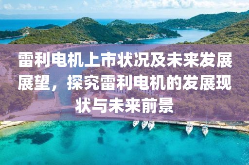 雷利电机上市状况及未来发展展望，探究雷利电机的发展现状与未来前景