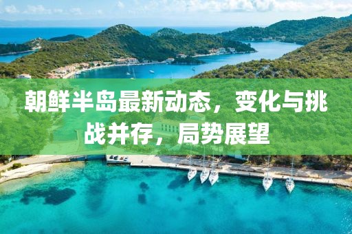 朝鲜半岛最新动态，变化与挑战并存，局势展望
