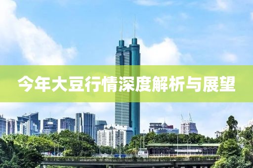 今年大豆行情深度解析与展望