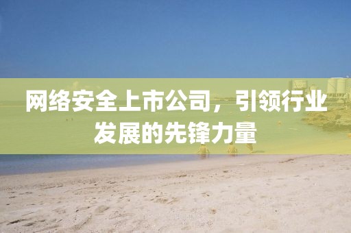 网络安全上市公司，引领行业发展的先锋力量
