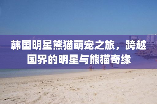 韩国明星熊猫萌宠之旅，跨越国界的明星与熊猫奇缘
