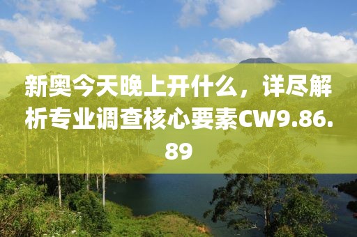 新奥今天晚上开什么，详尽解析专业调查核心要素CW9.86.89