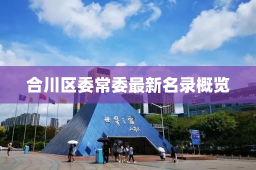 合川区委常委最新名录概览