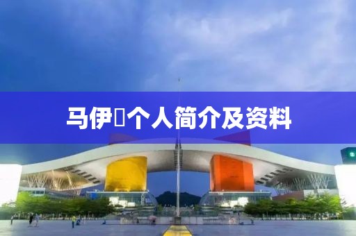 马伊琍个人简介及资料