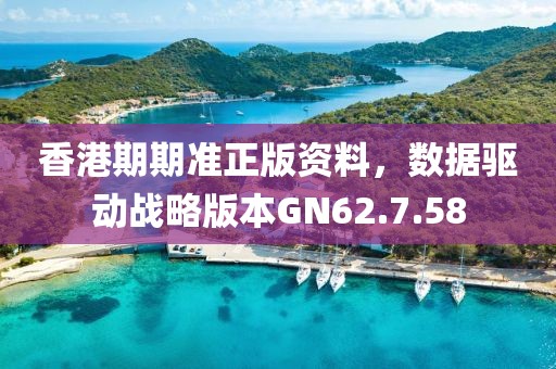 香港期期准正版资料，数据驱动战略版本GN62.7.58