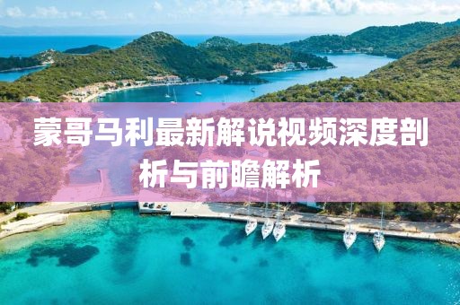 蒙哥马利最新解说视频深度剖析与前瞻解析