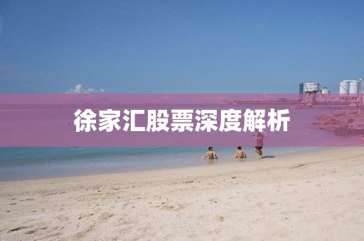 徐家汇股票深度解析