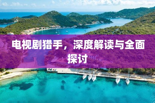 电视剧猎手，深度解读与全面探讨