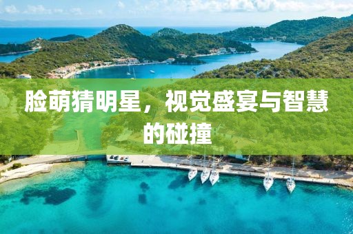 脸萌猜明星，视觉盛宴与智慧的碰撞