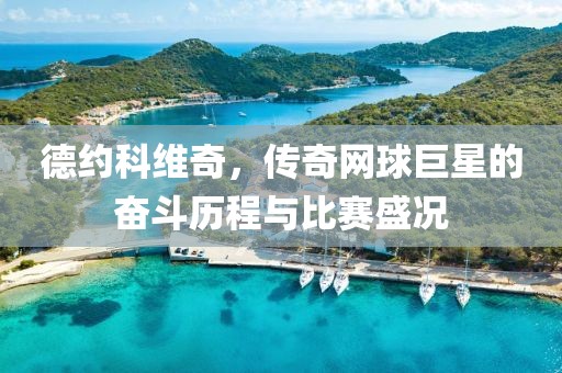 德约科维奇，传奇网球巨星的奋斗历程与比赛盛况