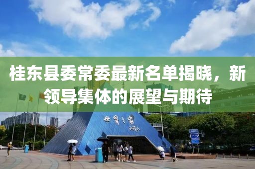 桂东县委常委最新名单揭晓，新领导集体的展望与期待