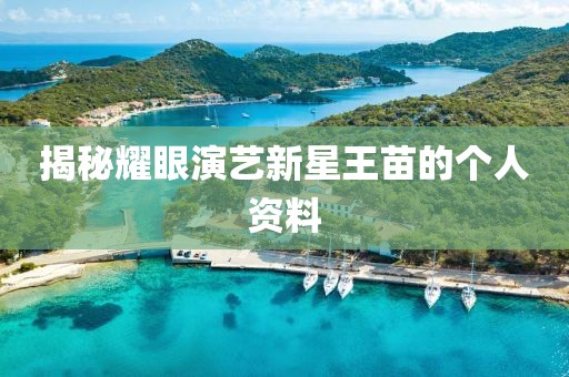 揭秘耀眼演艺新星王苗的个人资料