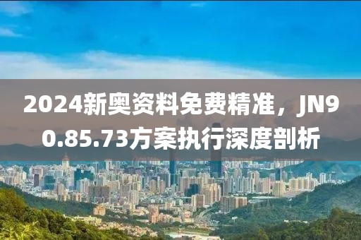2024新奥资料免费精准，JN90.85.73方案执行深度剖析