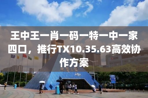 王中王一肖一码一特一中一家四口，推行TX10.35.63高效协作方案