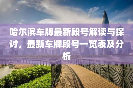 哈尔滨车牌最新段号解读与探讨，最新车牌段号一览表及分析