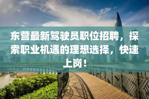 东营最新驾驶员职位招聘，探索职业机遇的理想选择，快速上岗！