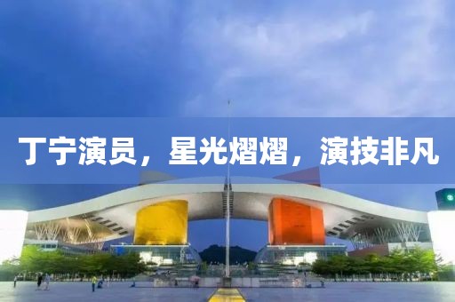 丁宁演员，星光熠熠，演技非凡