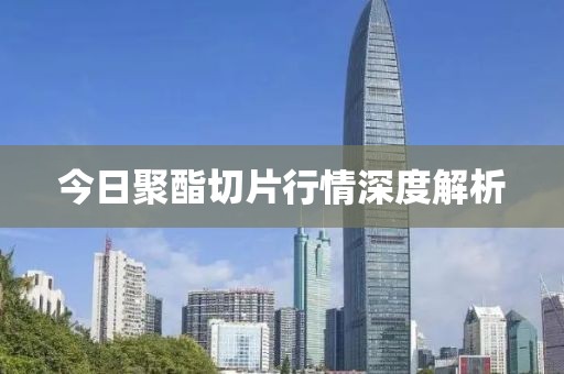 今日聚酯切片行情深度解析