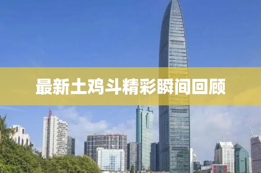 最新土鸡斗精彩瞬间回顾