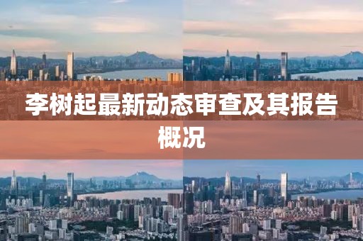 李树起最新动态审查及其报告概况