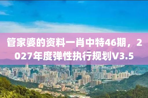 管家婆的资料一肖中特46期，2027年度弹性执行规划V3.5