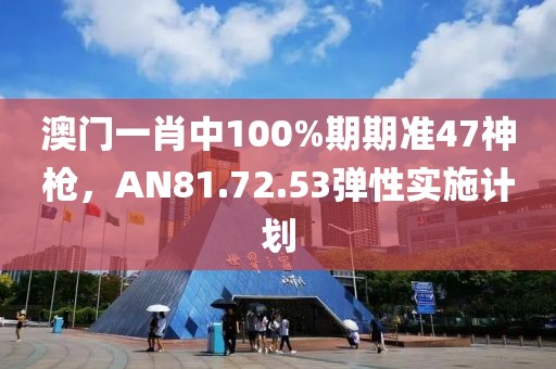 澳门一肖中100%期期准47神枪，AN81.72.53弹性实施计划