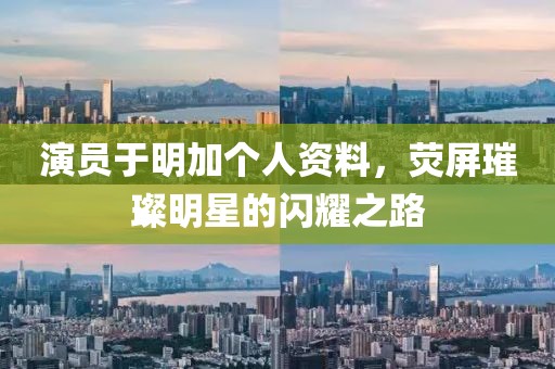 演员于明加个人资料，荧屏璀璨明星的闪耀之路
