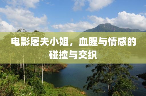 电影屠夫小姐，血腥与情感的碰撞与交织