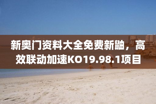 新奥门资料大全免费新鼬，高效联动加速KO19.98.1项目