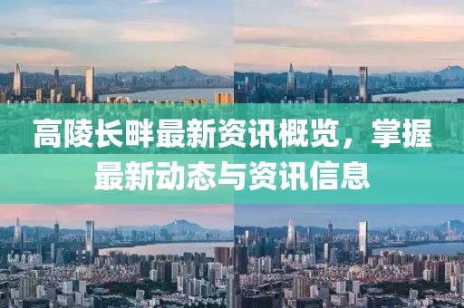 高陵长畔最新资讯概览，掌握最新动态与资讯信息