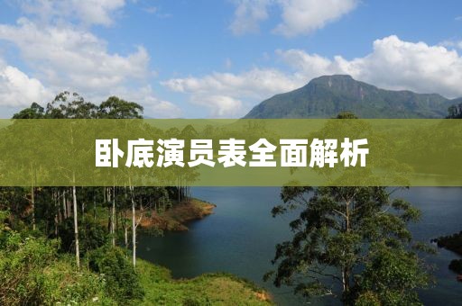 卧底演员表全面解析