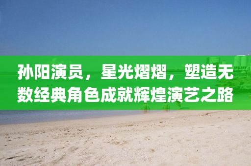孙阳演员，星光熠熠，塑造无数经典角色成就辉煌演艺之路