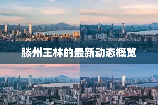 滕州王林的最新动态概览