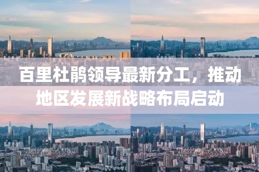 百里杜鹃领导最新分工，推动地区发展新战略布局启动