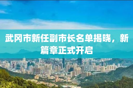 武冈市新任副市长名单揭晓，新篇章正式开启