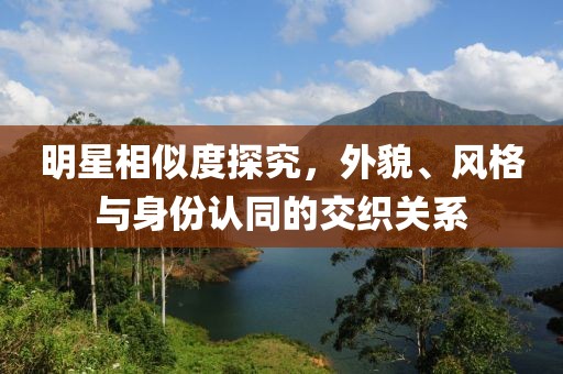 明星相似度探究，外貌、风格与身份认同的交织关系