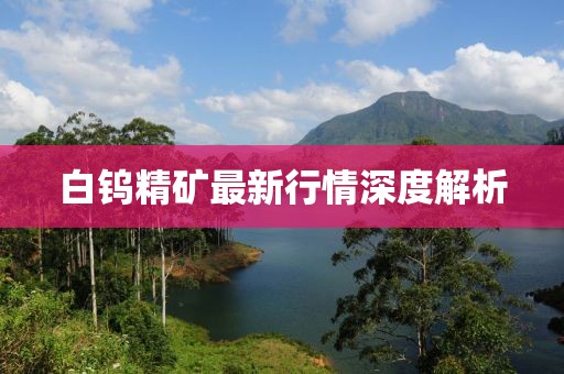 白钨精矿最新行情深度解析