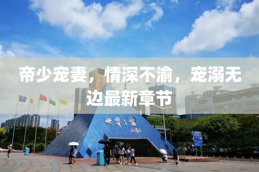 帝少宠妻，情深不渝，宠溺无边最新章节