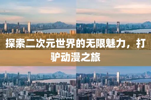 探索二次元世界的无限魅力，打驴动漫之旅