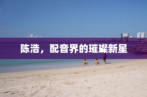 陈浩，配音界的璀璨新星
