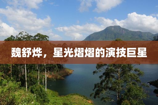 魏舒烨，星光熠熠的演技巨星