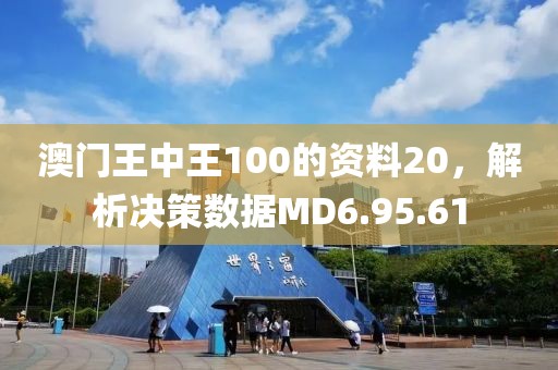 澳门王中王100的资料20，解析决策数据MD6.95.61