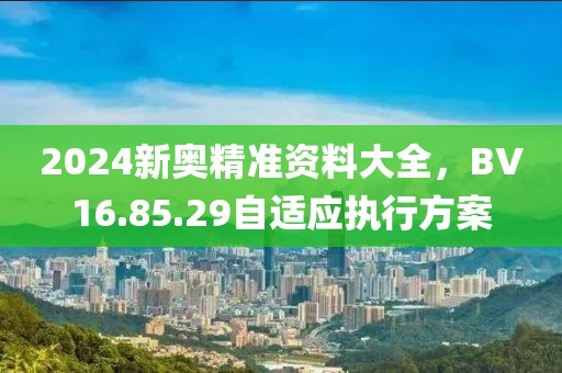 2024新奥精准资料大全，BV16.85.29自适应执行方案