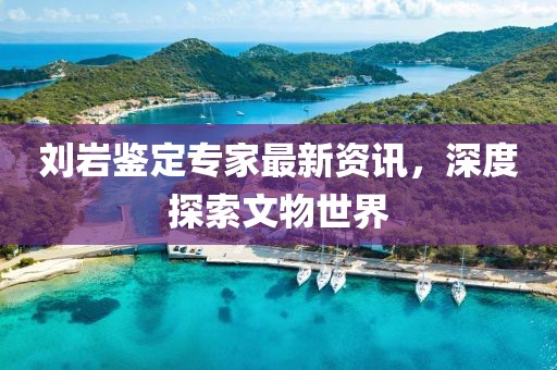 刘岩鉴定专家最新资讯，深度探索文物世界