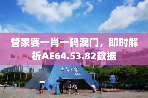 管家婆一肖一码澳门，即时解析AE64.53.82数据