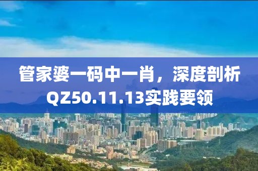 管家婆一码中一肖，深度剖析QZ50.11.13实践要领